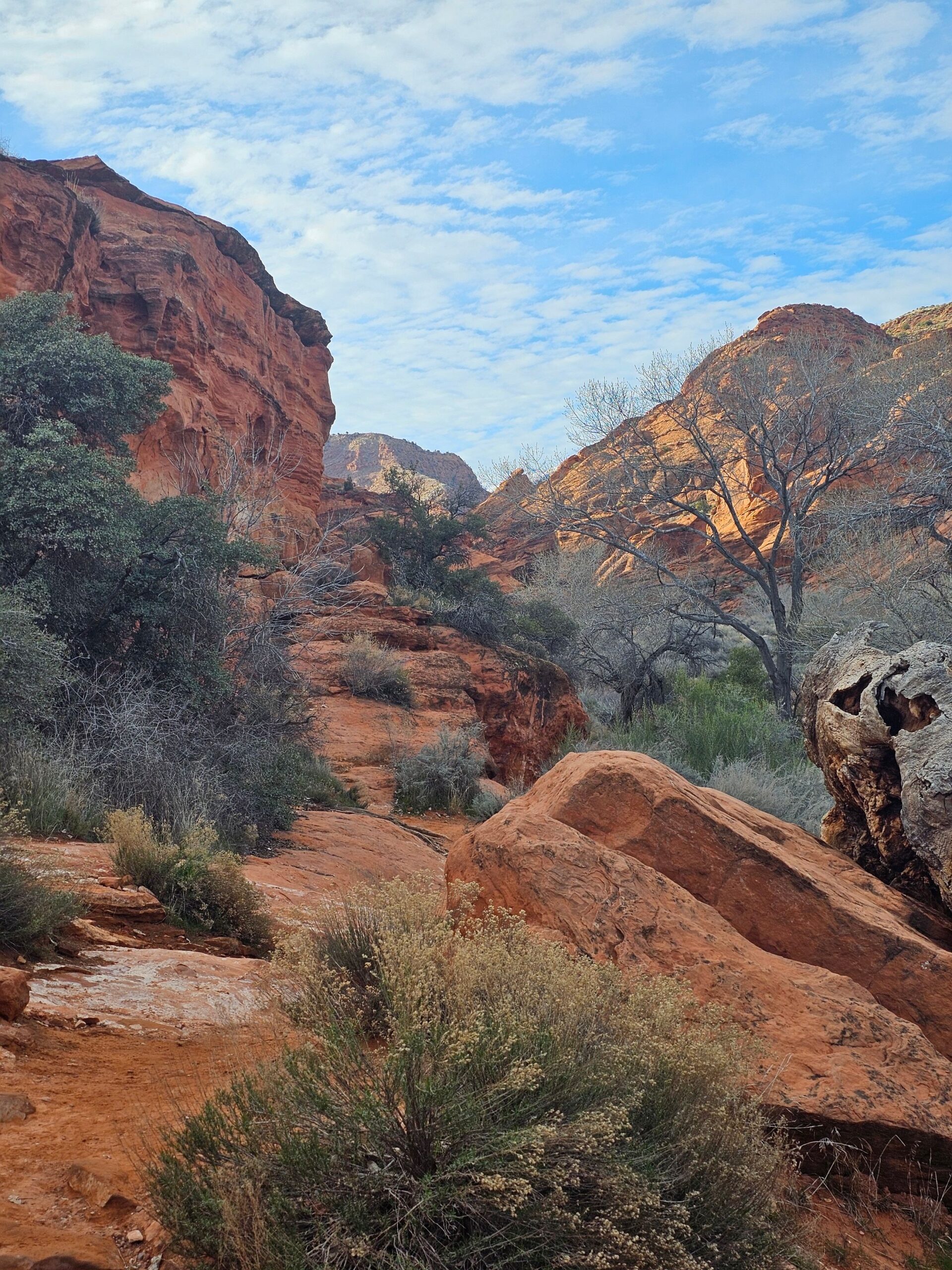 Red rock formations near St. George, Utah